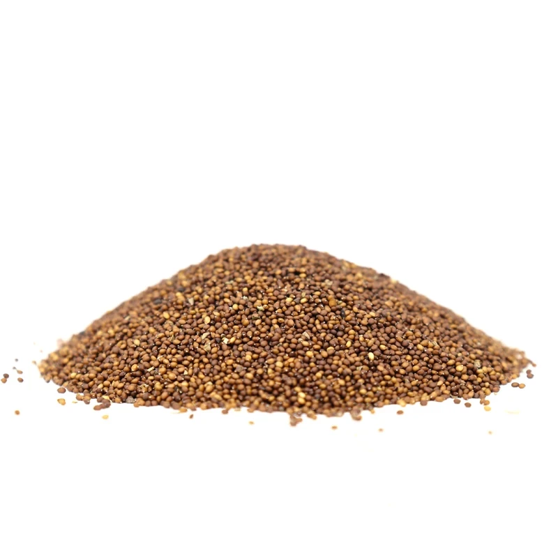 Tulsi Beej