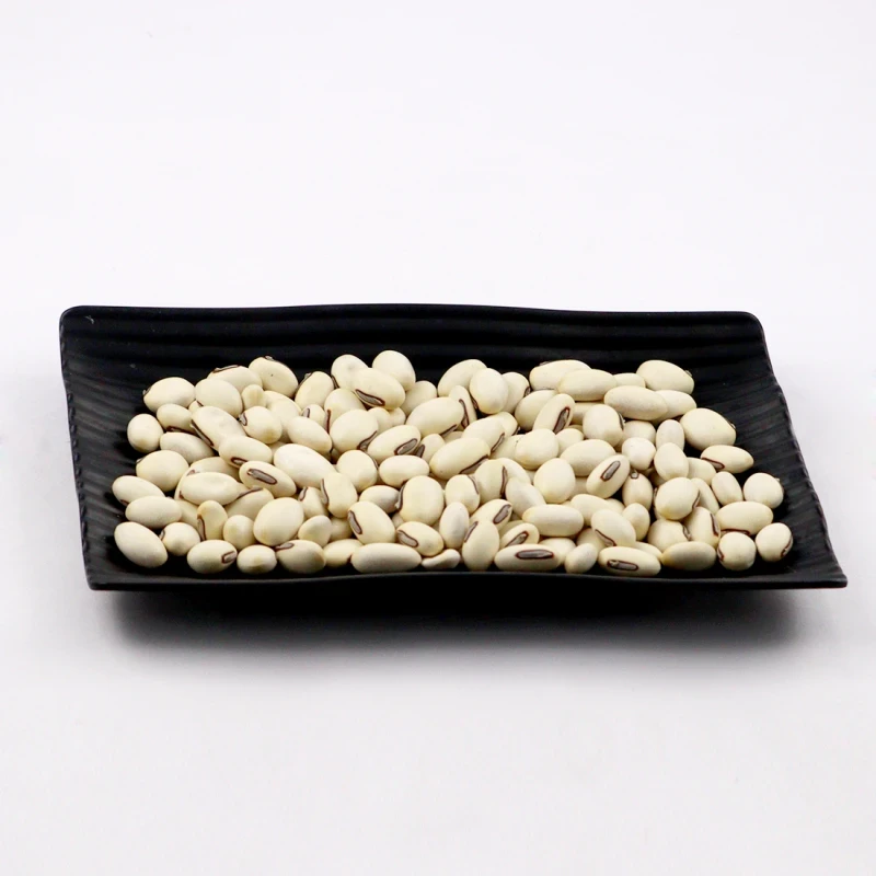 Beej Konch White